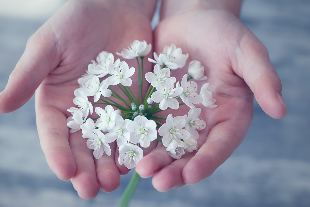 Flowers on Hands